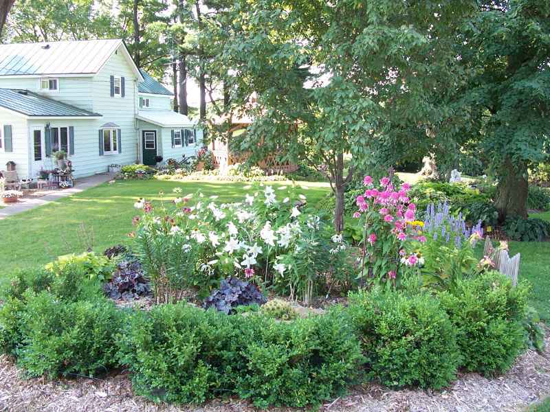 Perennial Bed