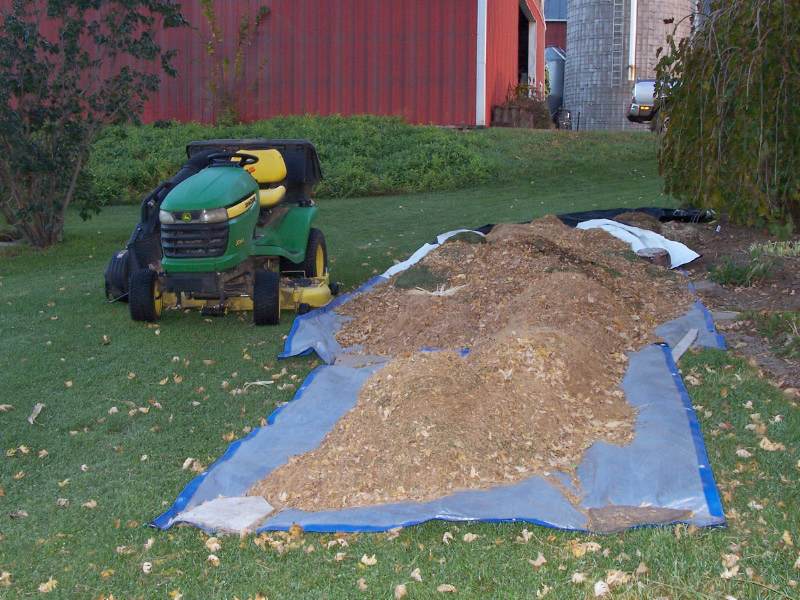 Pine Needle Mulch - Fall Mulch Tips