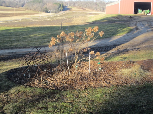 spring is in the air but stay out of the flowerbeds